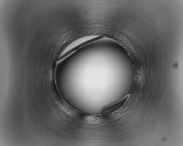 X0000097950568200804071008
