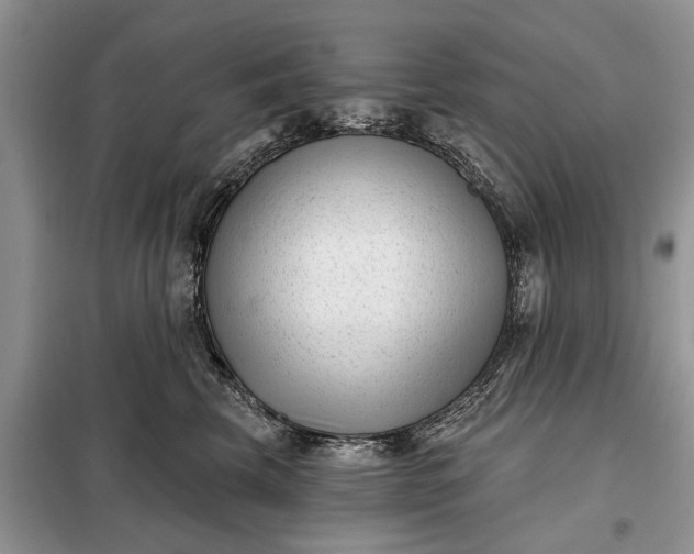 X0000097950569200804071008