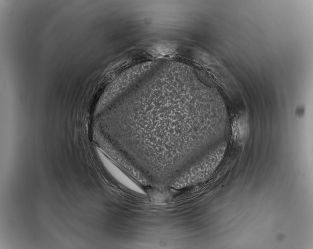 X0000097950570200804071008