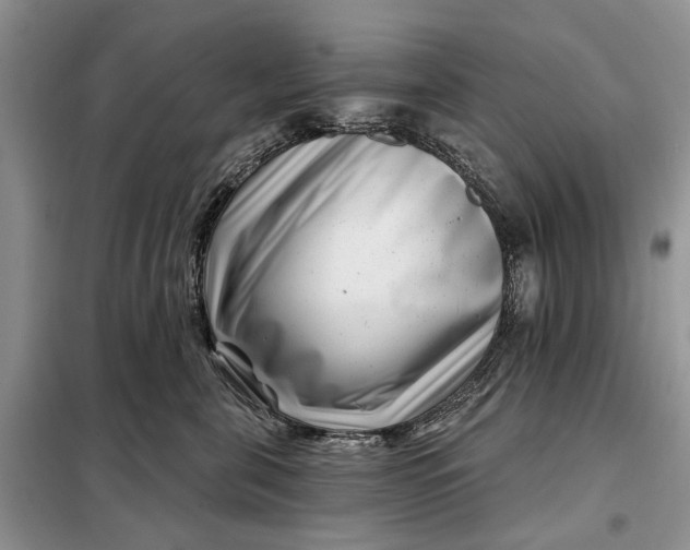 X0000097950571200804071008
