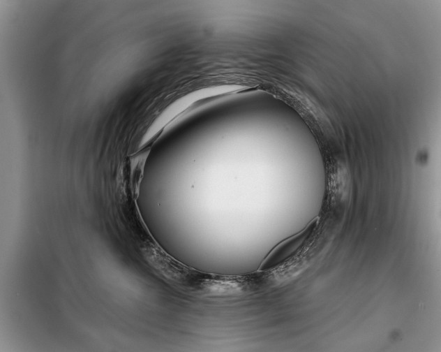 X0000097950572200804071008