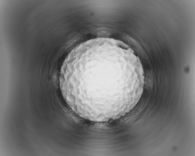 X0000097950573200804071008