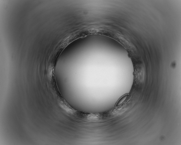 X0000097950574200804071008