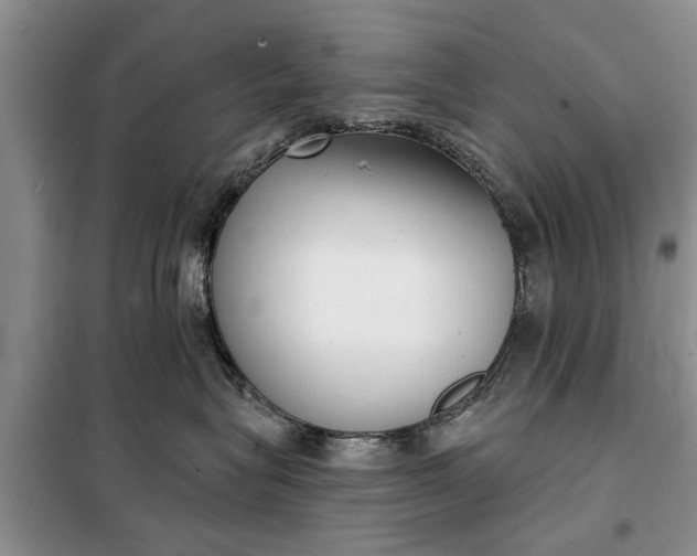 X0000097950575200804071008