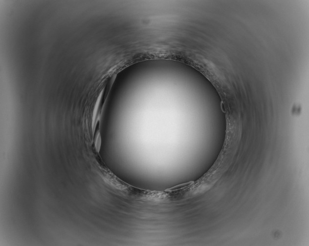 X0000097950576200804071008