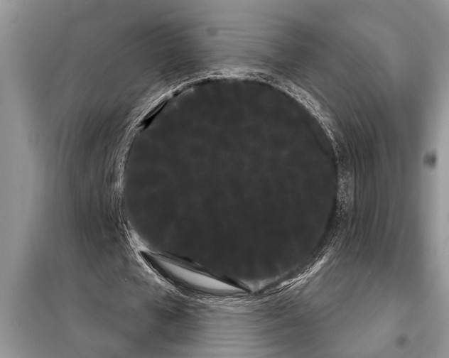 X0000097950577200804071007