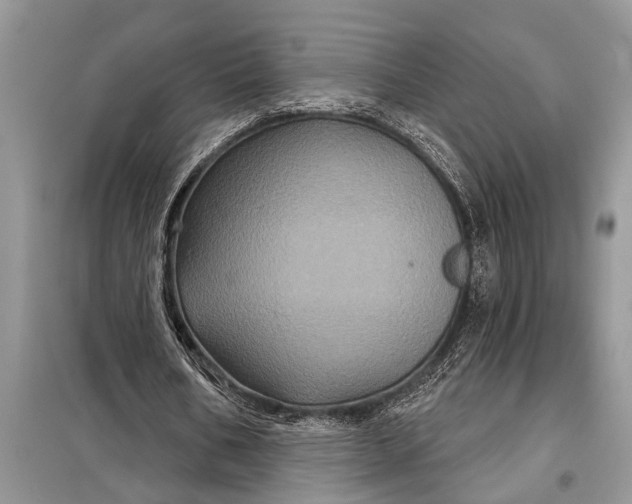 X0000097950578200804071007
