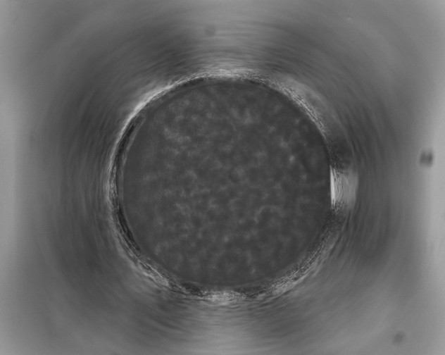X0000097950579200804071007