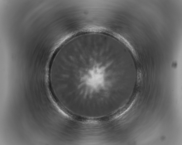 X0000097950581200804071007