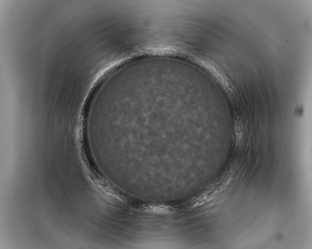X0000097950583200804071007