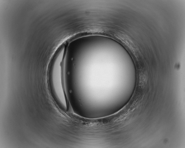 X0000097950584200804071007