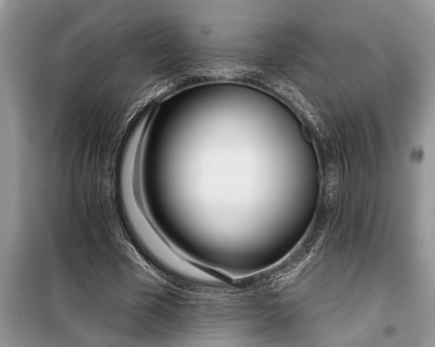 X0000097950585200804071007
