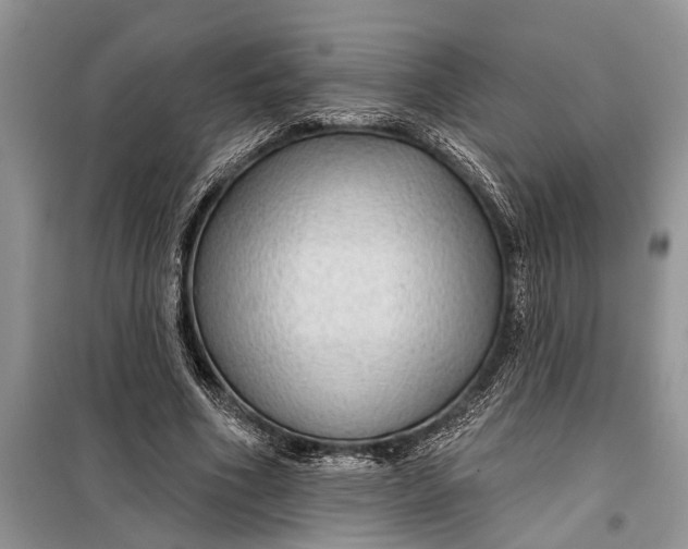 X0000097950586200804071007