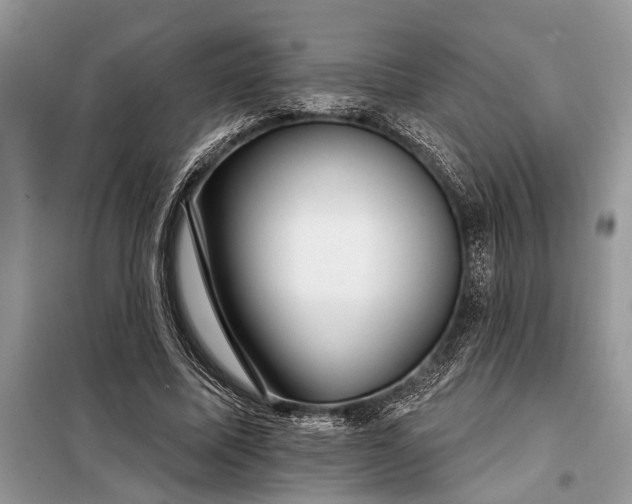 X0000097950587200804071007