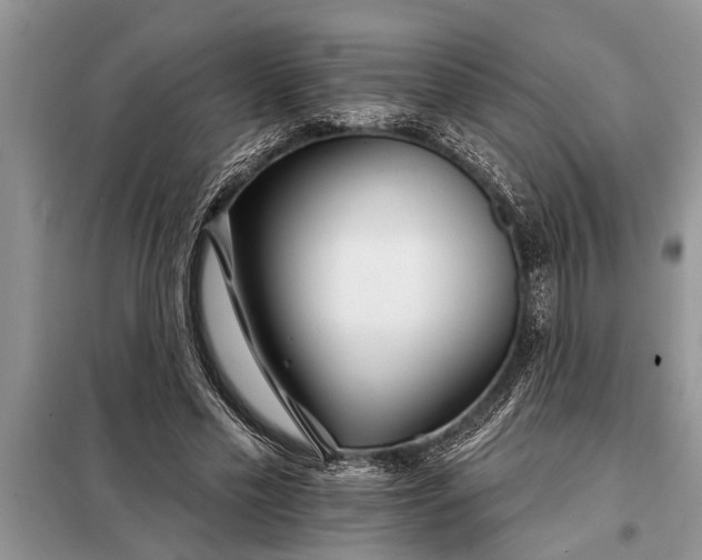 X0000097950589200804071007