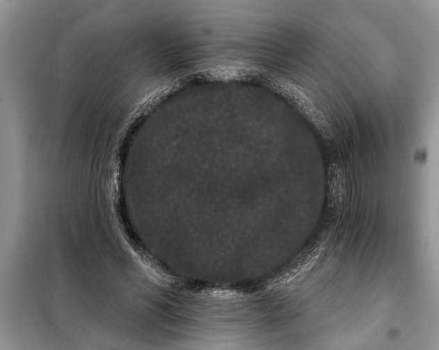 X0000097950590200804071007