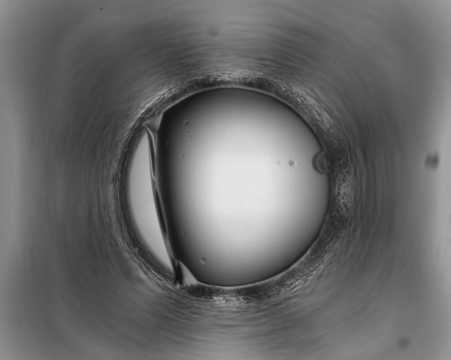 X0000097950591200804071007