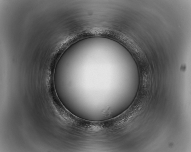 X0000097950592200804071007