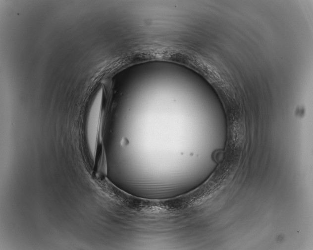 X0000097950594200804071007
