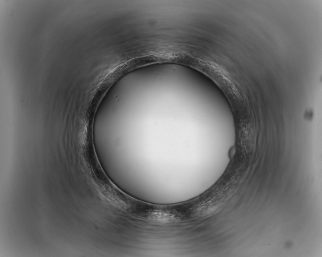 X0000097950596200804071007