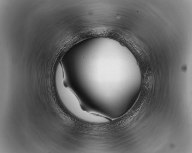 X0000097950597200804071007