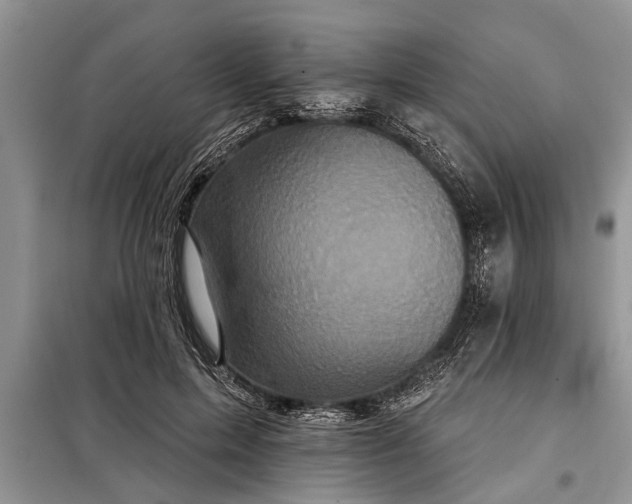 X0000097950599200804071007