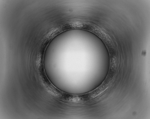 X0000097950600200804071007
