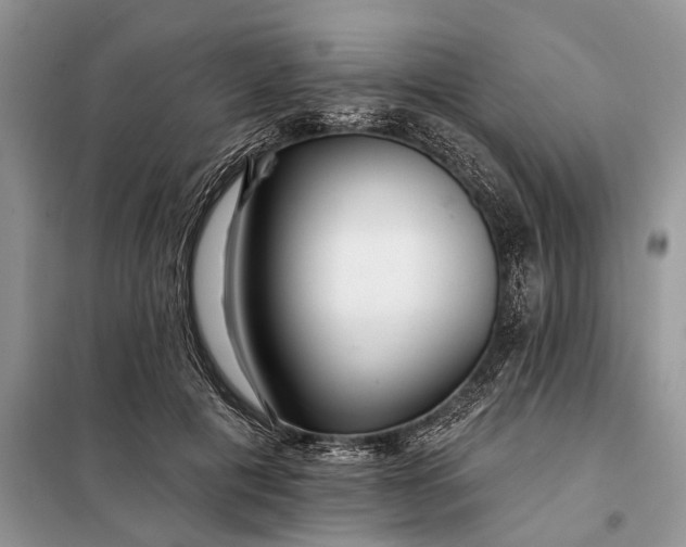 X0000097950601200804071007