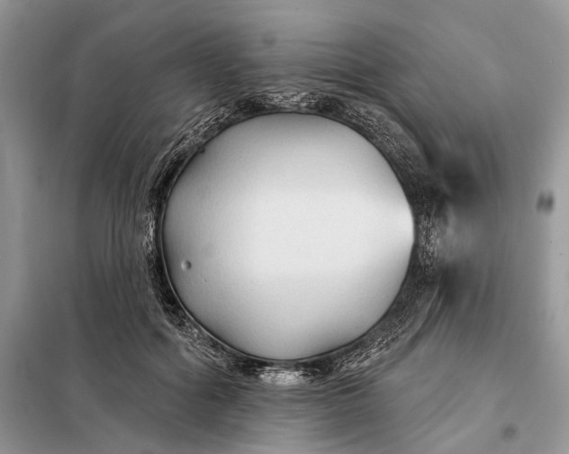 X0000097950602200804071007