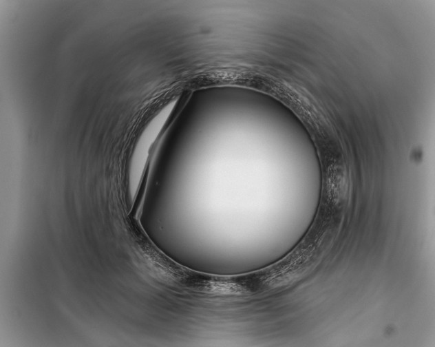 X0000097950605200804071007