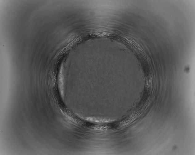 X0000097950606200804071007
