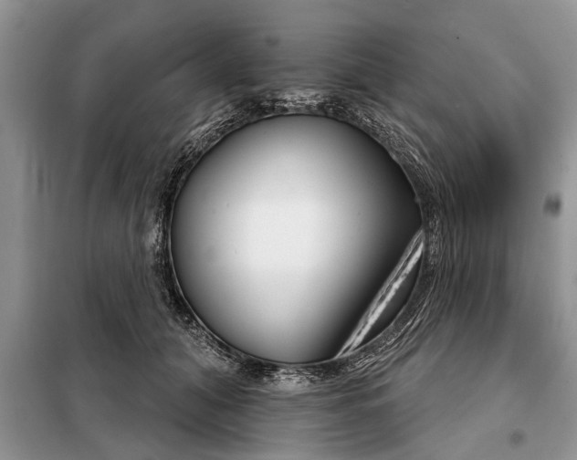 X0000097950608200804071007