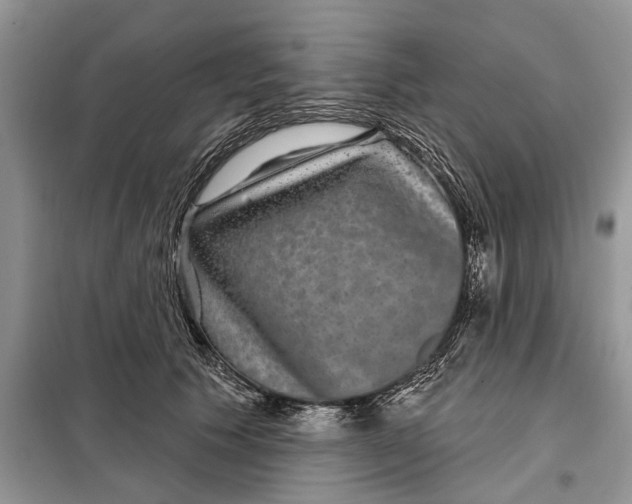 X0000097950609200804071007