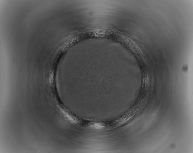 X0000097950610200804071007