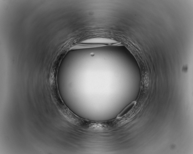 X0000097950611200804071007