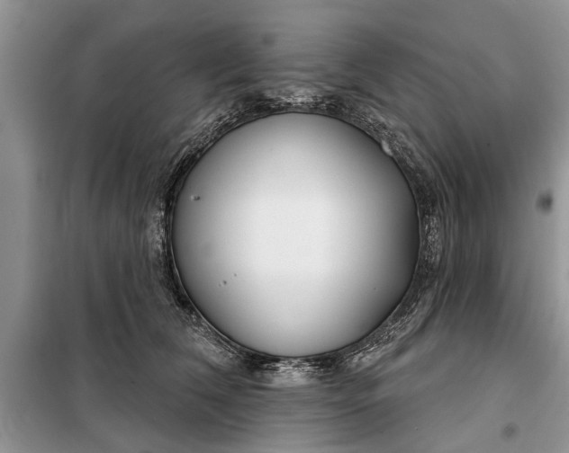X0000097950612200804071007
