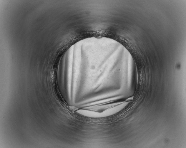 X0000097950613200804071007
