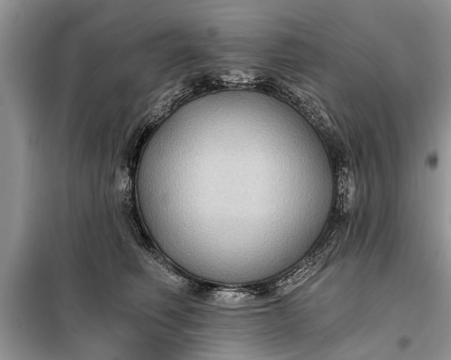 X0000097950614200804071007
