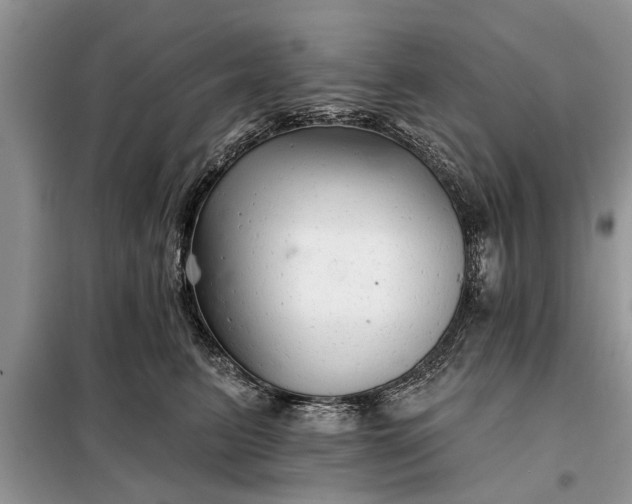 X0000097950615200804071007