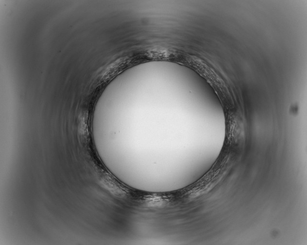 X0000097950616200804071006
