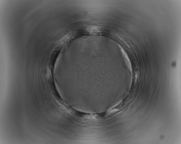 X0000097950618200804071006