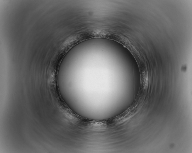 X0000097950619200804071006