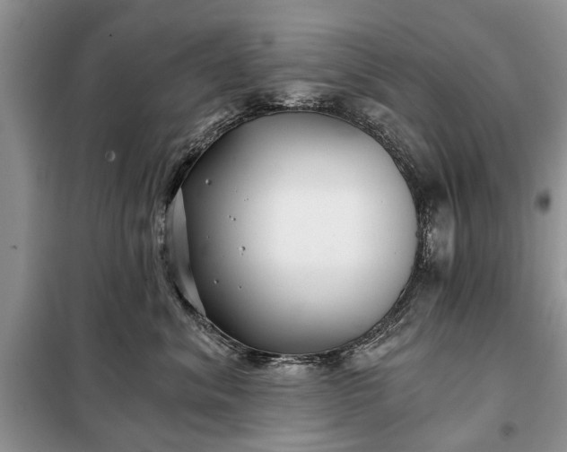X0000097950620200804071006