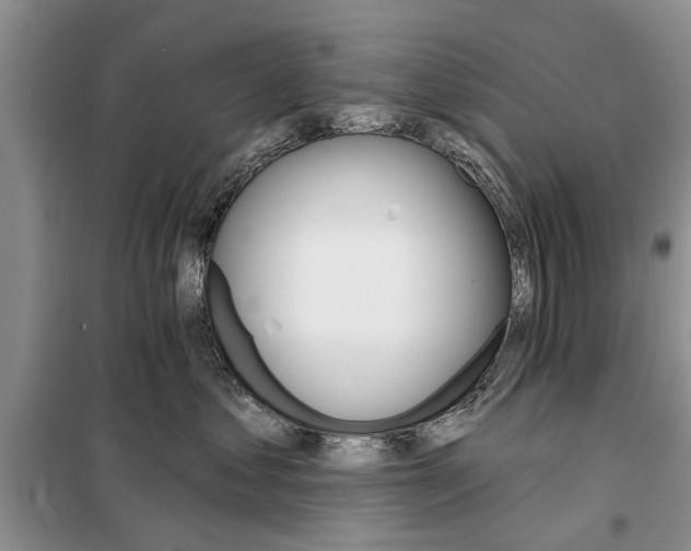 X0000097950621200804071006