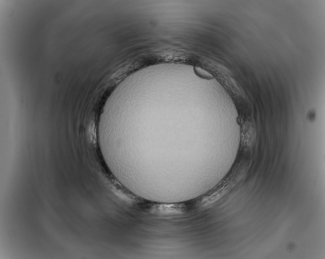 X0000097950622200804071006