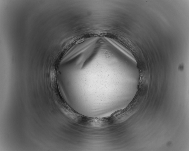 X0000097950623200804071006