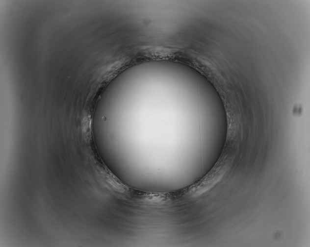 X0000097950624200804071006
