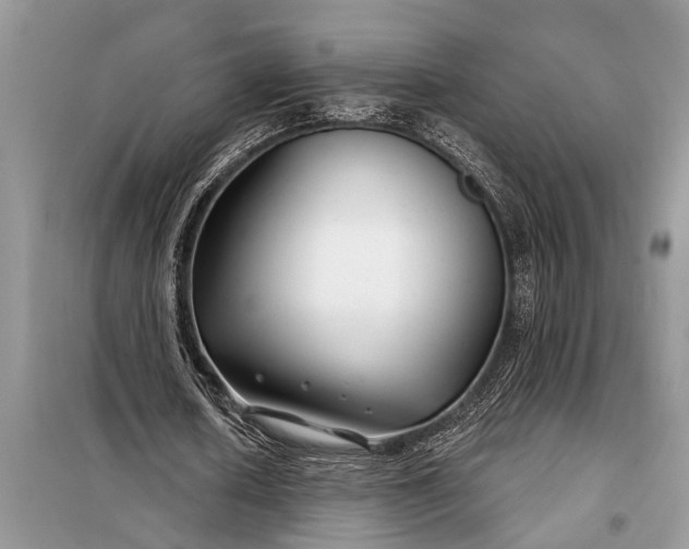 X0000097950626200804071006
