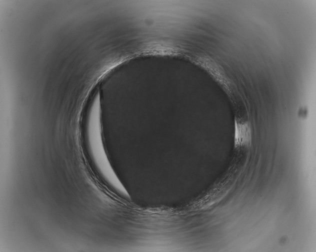 X0000097950627200804071006