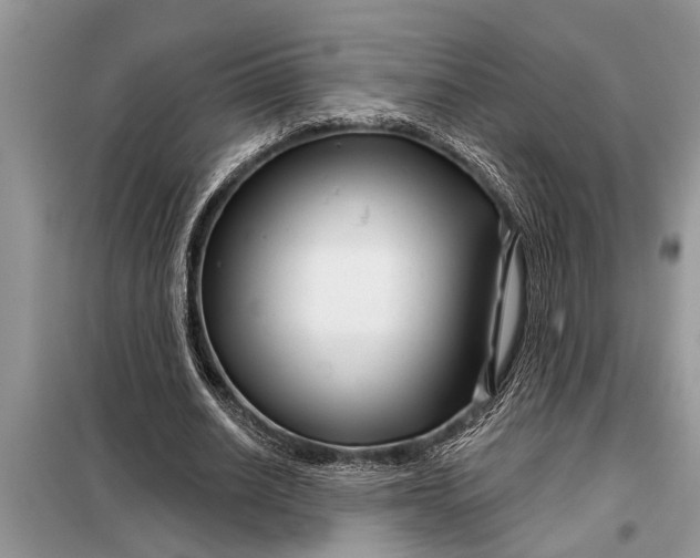 X0000097950630200804071006